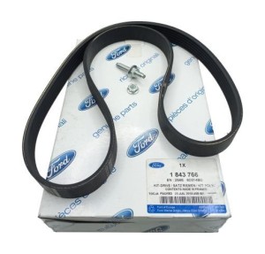 1843766 Pasek Wielorowkowy OE Ford Fiesta Fusion