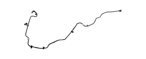 1523195.jpg