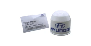 E699999000 Kapturek Osłona Haka Oryginał OE Hyundai