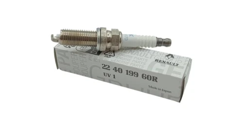224019960R.jpg