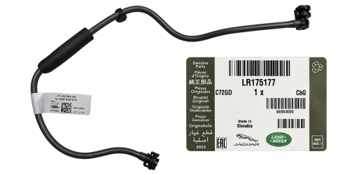 LR175177.jpg